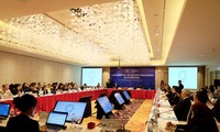 Vietnam interesado en aprovechar experiencias y apoyo de APEC para reforma aduanera