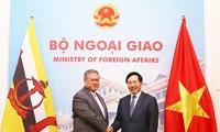 Celebran primera reunión del Comité de Cooperación Bilateral Vietnam-Brunéi