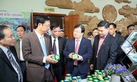 Vicepremier urge a desarrollar productos ventajosos de localidades vietnamitas
