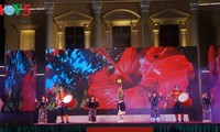 Arranca festival cultural de Japón en ciudad portuaria de Vietnam