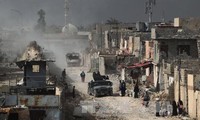 Entra en fase final recuperación de Oeste de Mosul tomado por EI