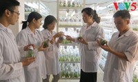 Investigadoras vietnamitas apasionadas de la ciencia