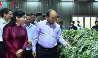 Vietnam busca desarrollar la industria medicinal 