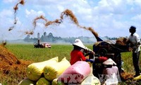 Votantes desean un desarrollo sostenible de la agricultura de Vietnam