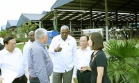 Delegación cubana visita granja lechera en la provincia de Son La