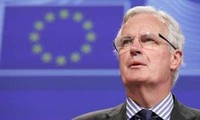 Unión Europea: Londres debe satisfacer las condiciones exigentes en los diálogos del Brexit