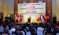 Vietnam participa con responsabilidad en la lucha contra los crímenes de drogas de Asean