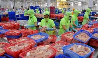 Vietnam factura ingresos multimillonarios por la exportación de productos acuáticos 