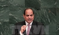 Presidente egipcio muestra su disposición de apoyar el proceso de paz en Oriente Medio
