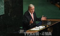 Jefe de la ONU llama a una solución diplomática para la crisis coreana