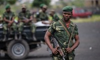 Al menos 40 personas muertas por los rebeldes en el este de la República Democrática del Congo