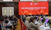 Inauguran la Semana de la Cumbre del APEC 2017 en la ciudad centrovietnamita de Da Nang
