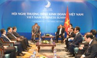 Primer ministro de Vietnam recibe a la delegación empresarial de China 