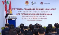Diálogo Empresarial entre Vietnam y Singapur