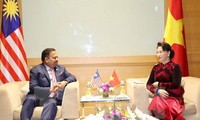 Líder parlamentaria vietnamita se reúne con los titulares legislativos de Malasia e Indonesia