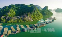 Por el desarrollo turístico sostenible de Vietnam en los patrimonios mundiales