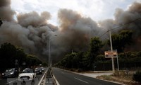 Vietnam expresa pésame a Grecia por fallecidos a causa de incendio forestal