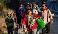 Más países anuncian retiro del Pacto Mundial sobre Migración