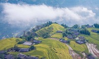 Terrazas de arroz de Hoang Su Phi, una creación genial de los étnicos locales