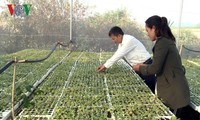 La agricultura inteligente llega a Tay Nguyen