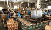 Vietnam considera medidas antidumping a importaciones madereras de Tailandia y Malasia