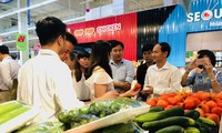 Apoyan a los agricultores vietnamitas con eficientes proyectos