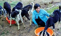 Nguyen Van Dinh con reconversión exitosa del modelo agrícola ante el cambio climático