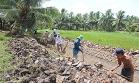 Agricultores en el Delta del Mekong cambian su forma de cultivo para adaptarse al cambio climático