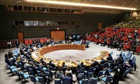 Consejo de Seguridad de la ONU llama a disminuir tensiones en el golfo Pérsico