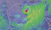 Tifón Mun se degrada a depresión tropical tras tocar Vietnam