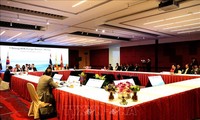 Vietnam respalda al impulso de cooperación de Mekong con Corea del Sur y Japón
