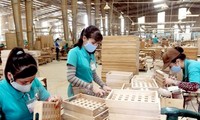 Aceleran exportación de productos forestales de Vietnam