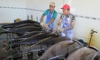 Grecia aumenta importación de atún vietnamita