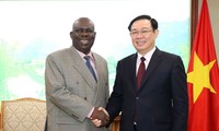 Vicepremier vietnamita recibe a embajadores de Sudáfrica y Nigeria