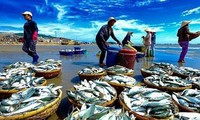 Sector acuícola de Vietnam alcanza logros alentadores en 2019