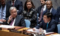 Vietnam impulsa respeto y cumplimiento de la Carta de la ONU
