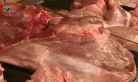 Instan a disminuir el precio de la carne de cerdo en Vietnam