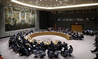 Consejo de Seguridad de la ONU llama a mantener apoyo a la Solución de dos Estados