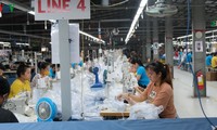Abordan dificultades de las empresas vietnamitas y medidas para promover la producción y los negocios