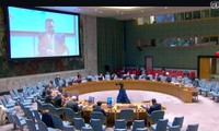 Vietnam e Indonesia opinan sobre la situación en los Grandes Lagos de África en el Consejo de Seguridad  
