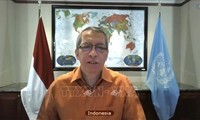 Indonesia alaba el desempeño de Vietnam en el Consejo de Seguridad de la ONU