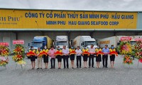 Vietnam exporta el primer lote de camarones de 2021