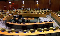 Vietnam aporta al debate del Consejo de Seguridad sobre la situación humanitaria en Etiopía