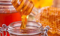 Vietnam busca garantizar la estabilidad de la exportación de miel 