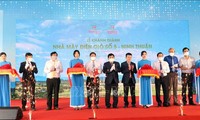Ninh Thuan inaugura planta de energía eólica de más de 46 megavatios
