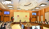 Parlamentos de Vietnam y Laos intercambian experiencias de trabajo