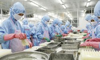 Buen ritmo de crecimiento de la exportación de camarones de Vietnam en los mercados principales en 2021