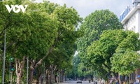 Hanói planta más de 100.000 árboles con motivo del Año Nuevo Lunar