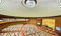 Parlamento vietnamita: inician los debates sobre la Ley de implementación de la democracia a nivel de base