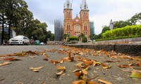Ciudad Ho Chi Minh en el Top 7 de ​los mejores destinos de otoño del mundo